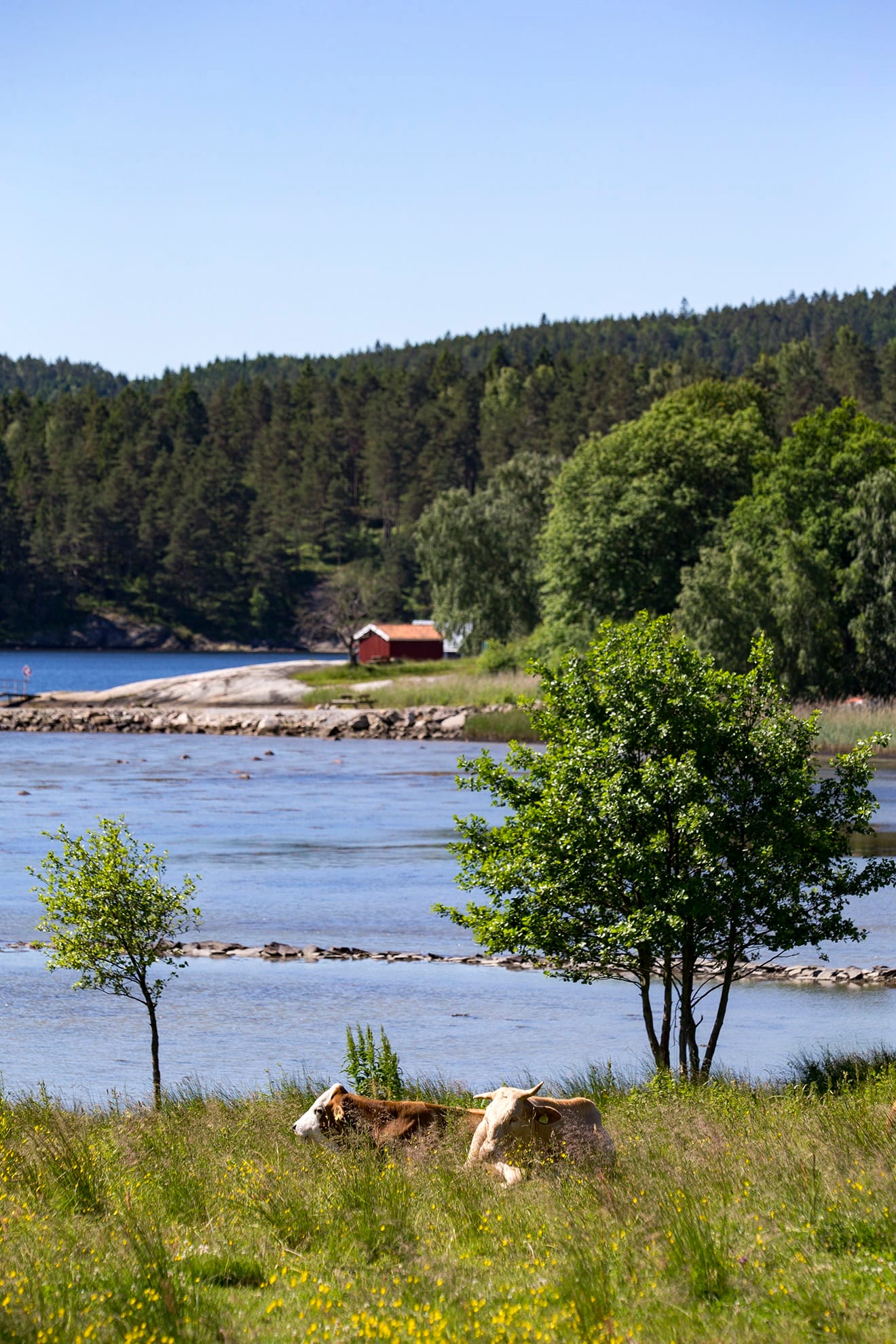 Leader Bohuskust och gränsbygds huvudbild